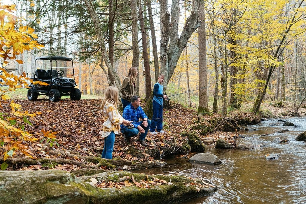 What Are The Most Popular Features for Golf Carts?