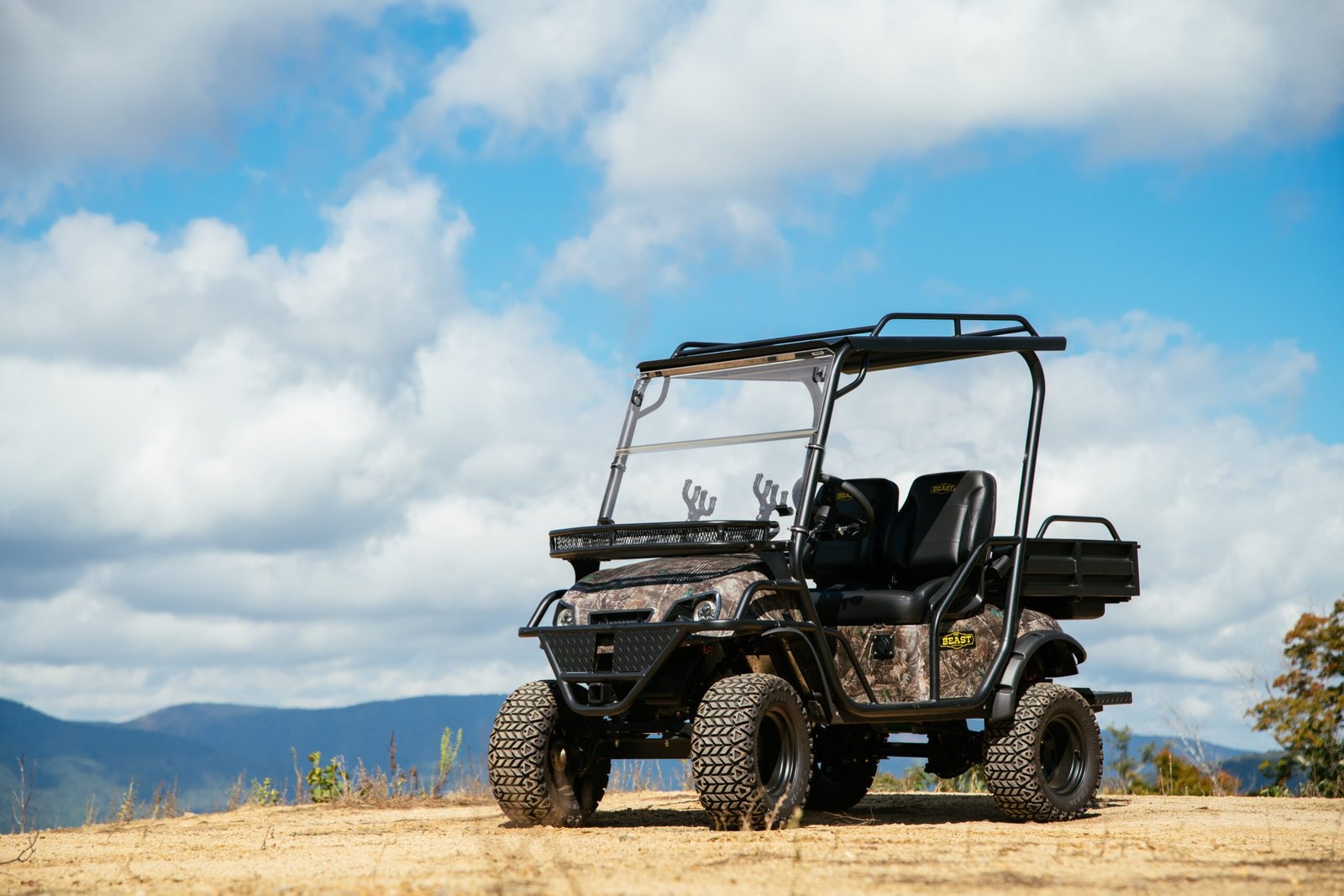 Why Should You Own a Golf Cart in 2023