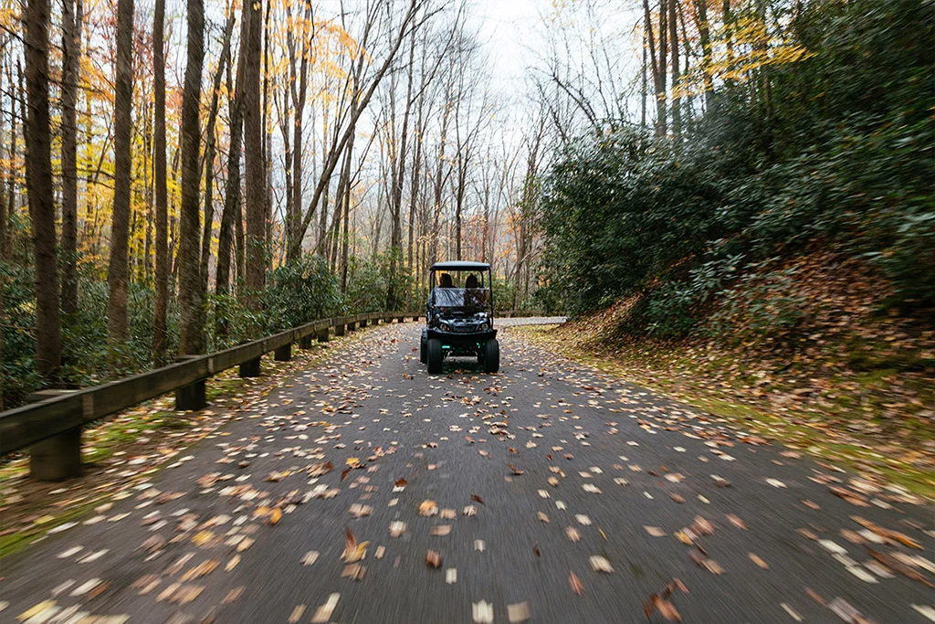 Used golf cart Tires & Wheels